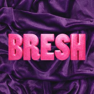 Bresh Closing Party